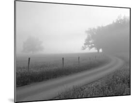 Sunrise on Foggy Frosty Morning, Cades Cove, Great Smoky Mountains National Park, Tennessee, Usa-Adam Jones-Mounted Photographic Print