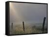 Sunrise on Foggy Frosty Morning, Cades Cove, Great Smoky Mountains National Park, Tennessee, Usa-Adam Jones-Framed Stretched Canvas