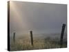 Sunrise on Foggy Frosty Morning, Cades Cove, Great Smoky Mountains National Park, Tennessee, Usa-Adam Jones-Stretched Canvas