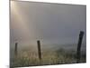 Sunrise on Foggy Frosty Morning, Cades Cove, Great Smoky Mountains National Park, Tennessee, Usa-Adam Jones-Mounted Photographic Print