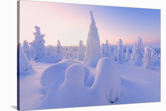 Sunrise on frozen trees, Riisitunturi National Park, Posio, Lapland, Finland-Roberto Moiola-Stretched Canvas