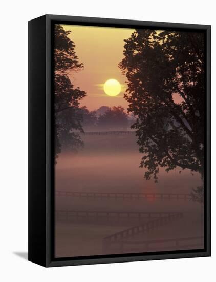 Sunrise on Horse Rarm, Lexington, Kentucky, USA-Adam Jones-Framed Stretched Canvas