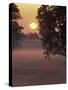 Sunrise on Horse Rarm, Lexington, Kentucky, USA-Adam Jones-Stretched Canvas