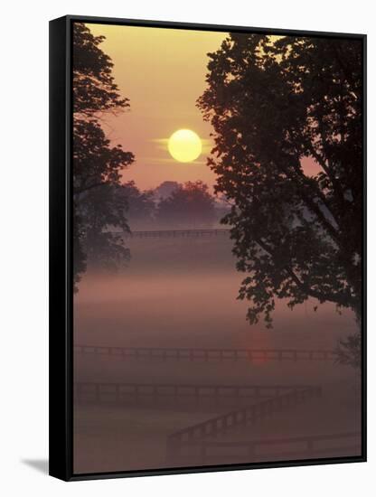 Sunrise on Horse Rarm, Lexington, Kentucky, USA-Adam Jones-Framed Stretched Canvas