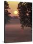 Sunrise on Horse Rarm, Lexington, Kentucky, USA-Adam Jones-Stretched Canvas