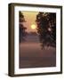Sunrise on Horse Rarm, Lexington, Kentucky, USA-Adam Jones-Framed Photographic Print