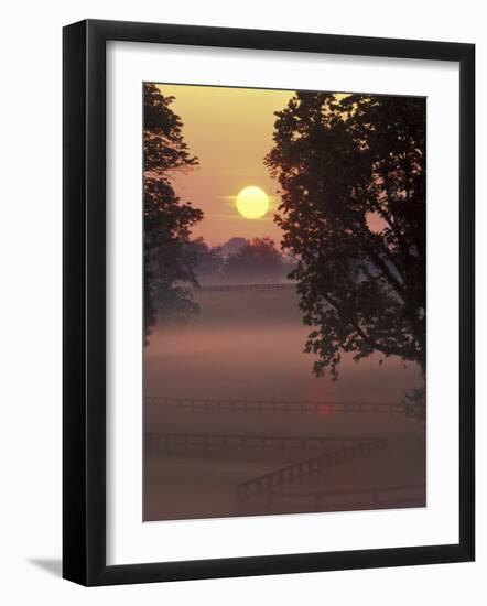 Sunrise on Horse Rarm, Lexington, Kentucky, USA-Adam Jones-Framed Photographic Print
