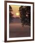 Sunrise on Horse Rarm, Lexington, Kentucky, USA-Adam Jones-Framed Photographic Print