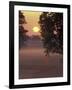 Sunrise on Horse Rarm, Lexington, Kentucky, USA-Adam Jones-Framed Photographic Print