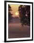 Sunrise on Horse Rarm, Lexington, Kentucky, USA-Adam Jones-Framed Photographic Print