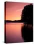 Sunrise on Lake, Arkansas, USA-Gayle Harper-Stretched Canvas