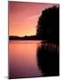 Sunrise on Lake, Arkansas, USA-Gayle Harper-Mounted Photographic Print