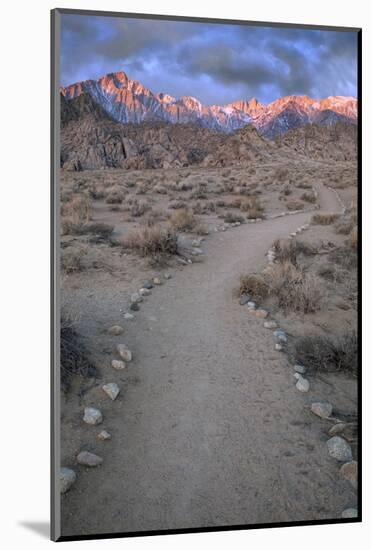 Sunrise on Lone Pine Peak and Mt Whitney, California, USA-Jaynes Gallery-Mounted Photographic Print