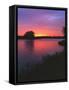 Sunrise on Longview Lake, Jackson County, Missouri, USA-Charles Gurche-Framed Stretched Canvas