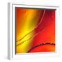 Sunrise on Mars-Ursula Abresch-Framed Photographic Print