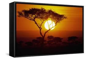 Sunrise on Masai Mara National Reserve-null-Framed Stretched Canvas