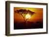 Sunrise on Masai Mara National Reserve-null-Framed Photographic Print