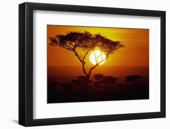 Sunrise on Masai Mara National Reserve-null-Framed Photographic Print