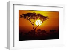 Sunrise on Masai Mara National Reserve-null-Framed Photographic Print