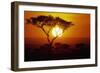 Sunrise on Masai Mara National Reserve-null-Framed Photographic Print