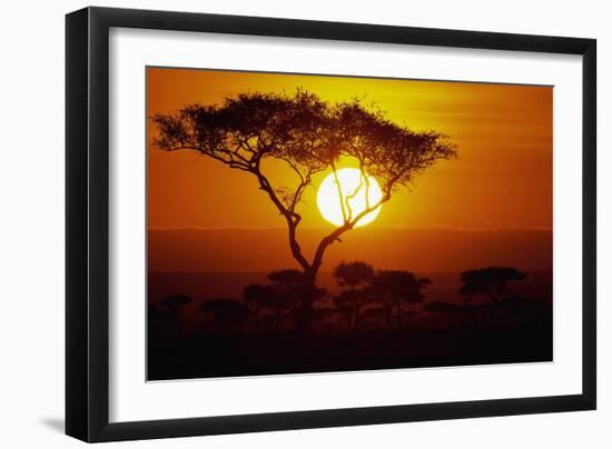 Sunrise on Masai Mara National Reserve-null-Framed Photographic Print