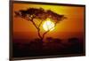 Sunrise on Masai Mara National Reserve-null-Framed Photographic Print