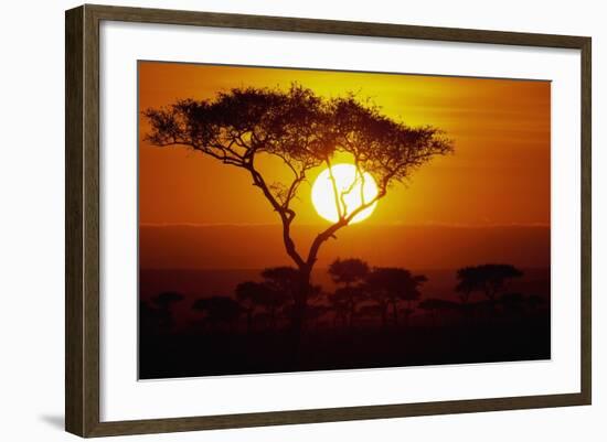 Sunrise on Masai Mara National Reserve-null-Framed Photographic Print