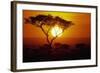 Sunrise on Masai Mara National Reserve-null-Framed Photographic Print