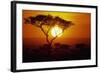 Sunrise on Masai Mara National Reserve-null-Framed Photographic Print