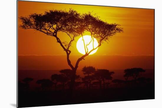 Sunrise on Masai Mara National Reserve-null-Mounted Photographic Print