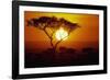 Sunrise on Masai Mara National Reserve-null-Framed Photographic Print