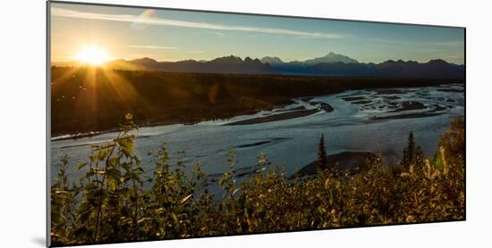 Sunrise on Mnt Denali, Trapper Creek pullout view, Alaska near Mount Denali Lodge-null-Mounted Photographic Print