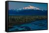 Sunrise on Mnt Denali, Trapper Creek pullout view, Alaska near Mount Denali Lodge-null-Framed Stretched Canvas