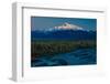 Sunrise on Mnt Denali, Trapper Creek pullout view, Alaska near Mount Denali Lodge-null-Framed Photographic Print