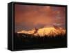 Sunrise on Mount Rainier-James Randklev-Framed Stretched Canvas