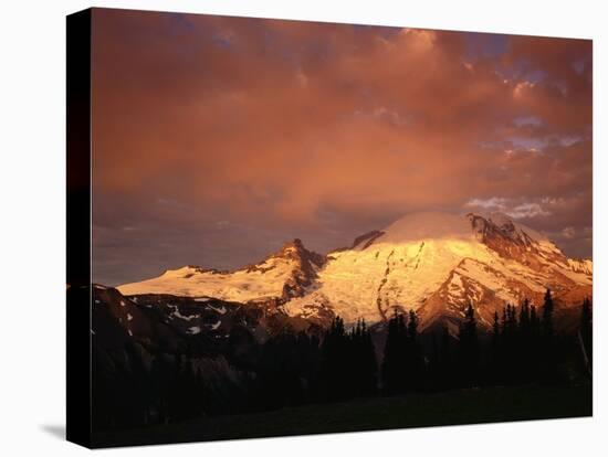 Sunrise on Mount Rainier-James Randklev-Stretched Canvas