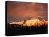 Sunrise on Mount Rainier-James Randklev-Stretched Canvas