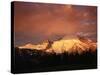 Sunrise on Mount Rainier-James Randklev-Stretched Canvas