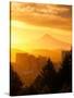 Sunrise on Mt Hood and Downtown, Portland, Oregon, USA-Janis Miglavs-Stretched Canvas