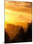 Sunrise on Mt Hood and Downtown, Portland, Oregon, USA-Janis Miglavs-Mounted Premium Photographic Print