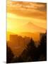 Sunrise on Mt Hood and Downtown, Portland, Oregon, USA-Janis Miglavs-Mounted Photographic Print