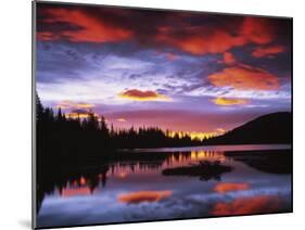 Sunrise on Reflection Lake, Mt. Rainier National Park, Washington, USA-Charles Gurche-Mounted Premium Photographic Print