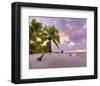 Sunrise on Smathers Beach in Key West, Florida Keys, Florida, USA-null-Framed Art Print