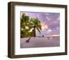 Sunrise on Smathers Beach in Key West, Florida Keys, Florida, USA-null-Framed Art Print