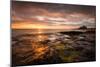 Sunrise on the Beach at Bamburgh, Northumberland UK-Tracey Whitefoot-Mounted Photographic Print