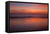 Sunrise on the Beach at Jekyll Island, Georgia, USA-Joanne Wells-Framed Stretched Canvas