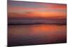 Sunrise on the Beach at Jekyll Island, Georgia, USA-Joanne Wells-Mounted Photographic Print