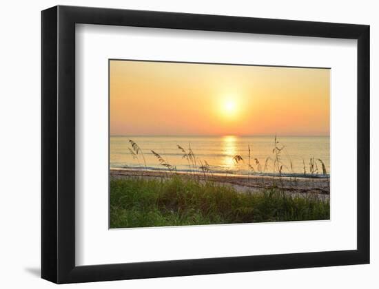 Sunrise on the Beach, Palm Beach, Florida, USA-null-Framed Art Print