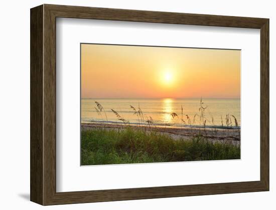 Sunrise on the Beach, Palm Beach, Florida, USA-null-Framed Art Print