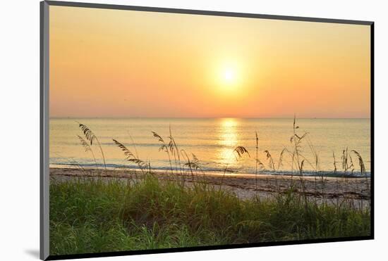 Sunrise on the Beach, Palm Beach, Florida, USA-null-Mounted Art Print